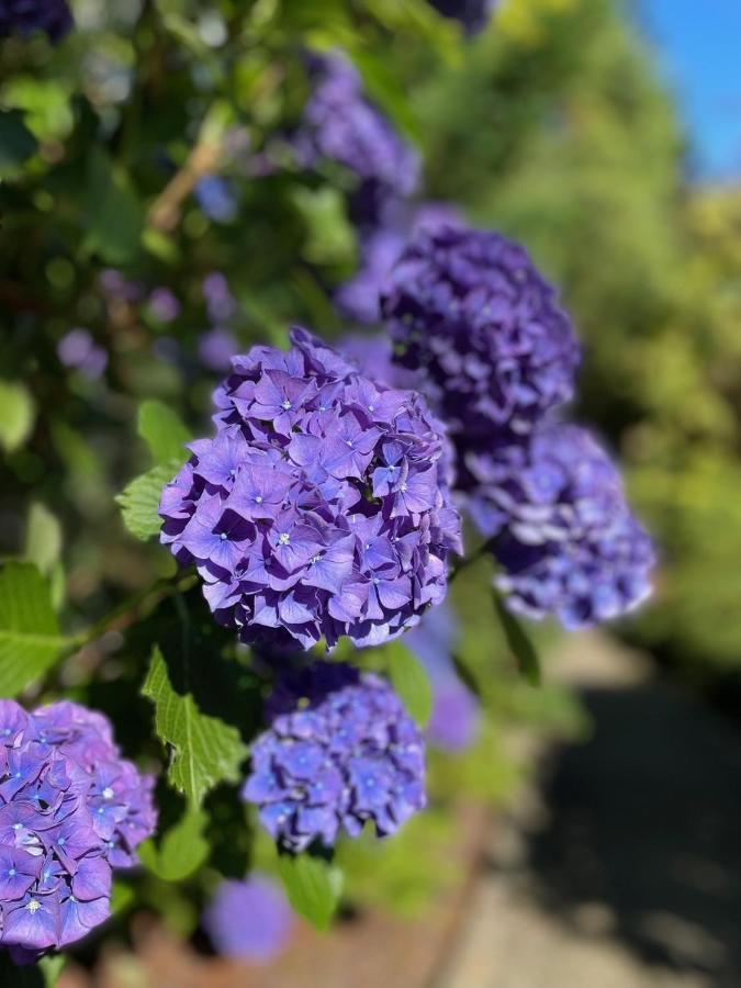 קומוקס Kye Bay Bnb - A Place To Breathe מראה חיצוני תמונה